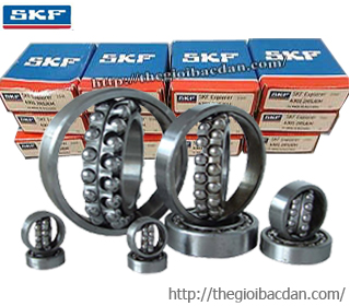 SKF 1307