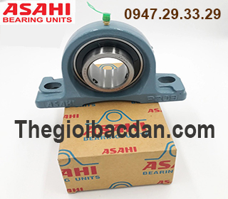 GỐI ĐỠ ASAHI - UCP - 204