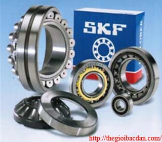 VÒNG BI BẠC ĐẠN SKF