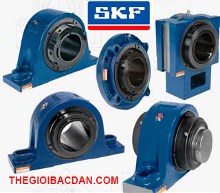 SY 80 TF SKF