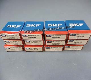 SKF 6021 2RS1