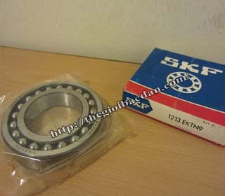 SKF 1204 EKTN9