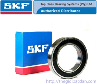 SKF 6901