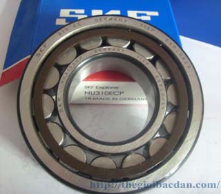 SKF NU204