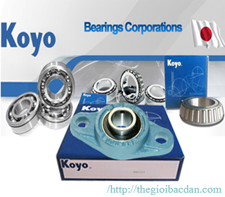 UK-305 KOYO