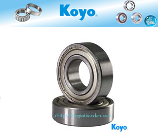 KOYO 6804 ZZ