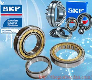 SKF N204