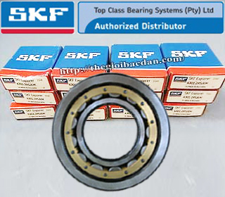 SKF NF205