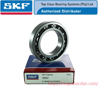 SKF 6903