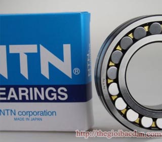 NTN 22205CD1