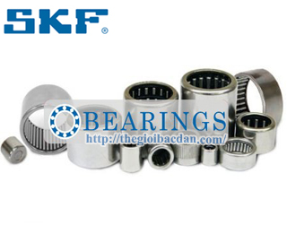 SKF HN1010