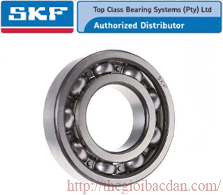 SKF 6209