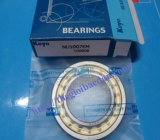 SKF NF2217E