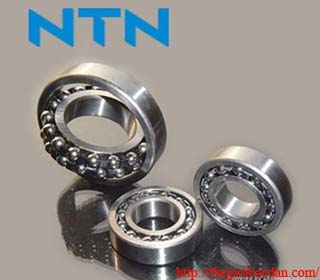 NTN 2207K