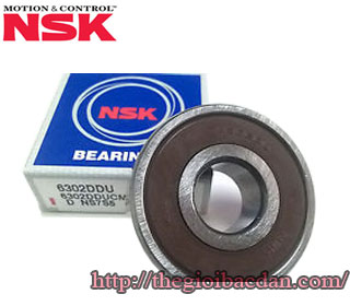 NSK 6916 DDU