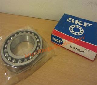 SKF 1202