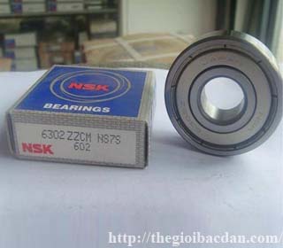 NSK 6006 ZZ