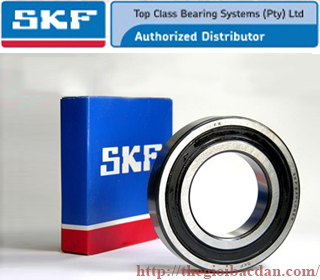 SKF 6221 2RS1